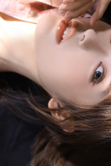 红高粱全集